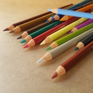 Polychromos Pencil