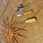 Starting a willow basket with some tools of the art