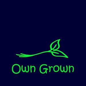 Logo - a bright green seedling laid on the lettering